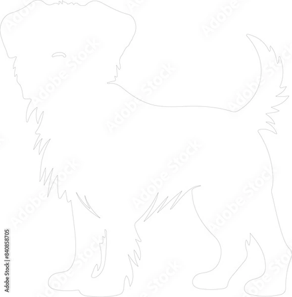 Obraz Brussels Griffon outline