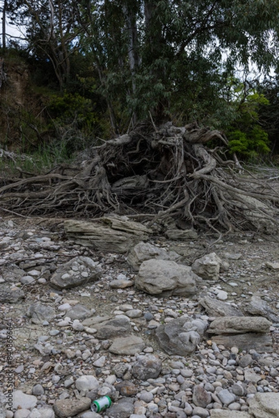 Obraz stream in the forest