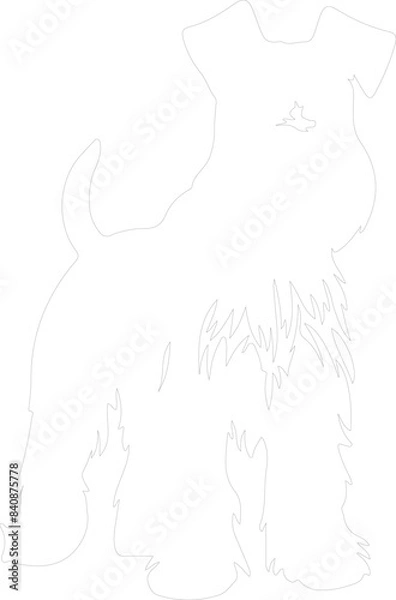 Obraz Standard Schnauzer outline