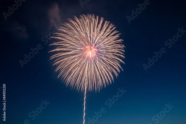 Obraz 春の大曲の花火