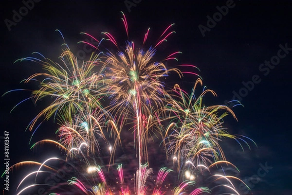 Obraz 春の大曲花火