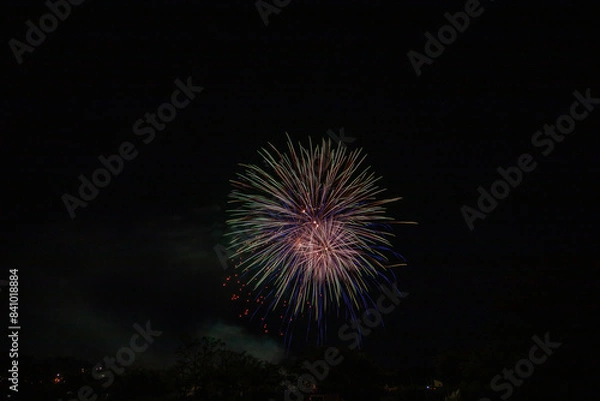 Fototapeta 夜空に浮かび上がる夏の花火