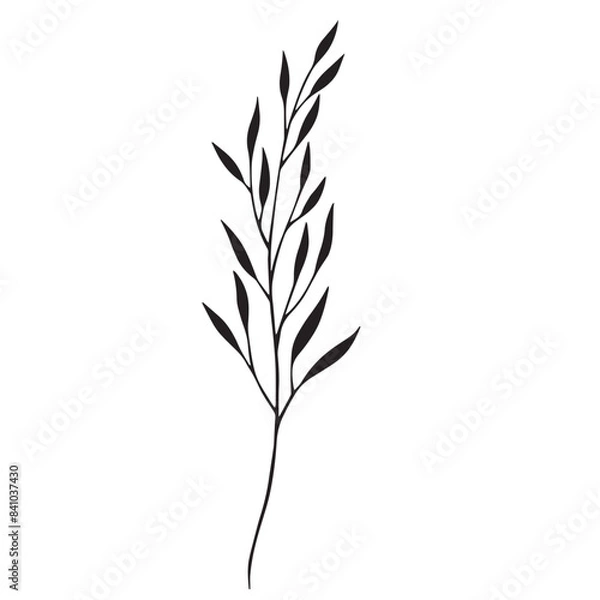 Obraz Greenery & flowers