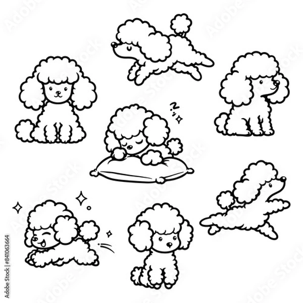 Fototapeta Set of cute poodles in various poses such as sitting, sleeping, and jumping. Perfect vector line art illustration isolated on a white background for creative projects.