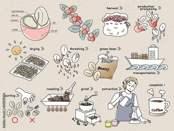 Obraz コーヒー豆の精製工程とコーヒーを淹れる男性