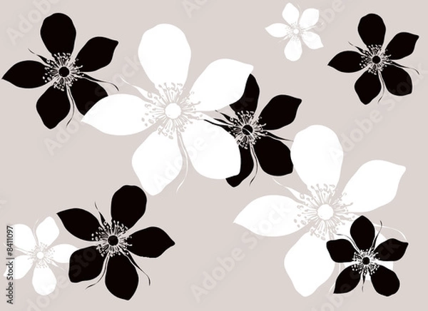 Obraz Hintergrund Floral Blumenuster Vektor