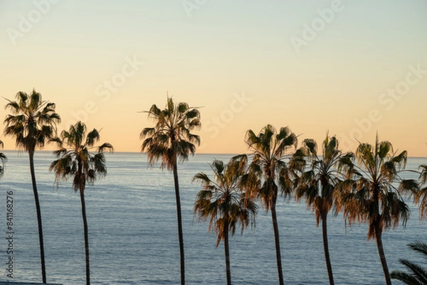 Obraz Palm Trees, Sunset and Ocean