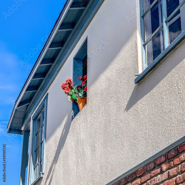 Obraz window with flowers