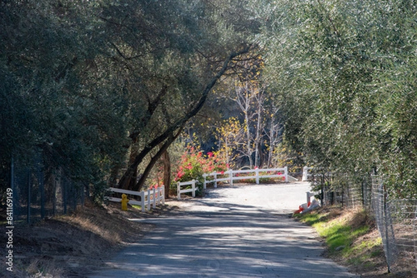 Obraz path in the park