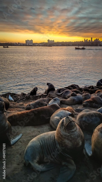 Obraz sunset over the sea