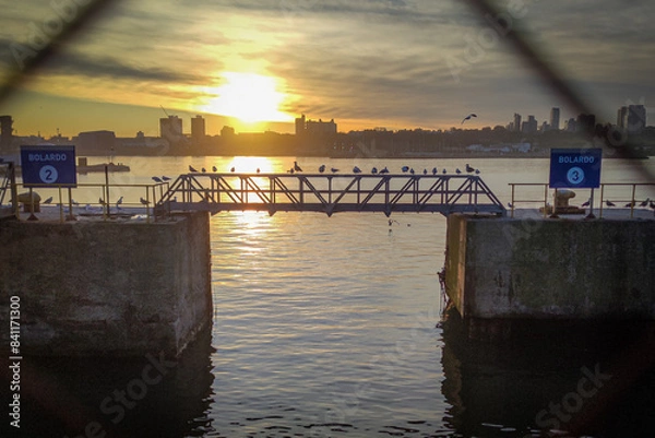 Obraz sunset over the port bridge