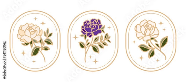 Obraz Set of hand drawn vintage botanical rose, peony flower, leaf branch elements and linear frame for feminine logo and beauty brand	