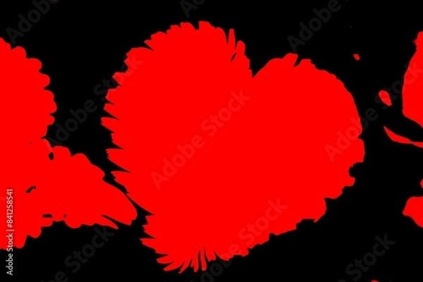 Obraz heart dandelion in the meadow