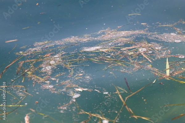 Obraz pollution on lake