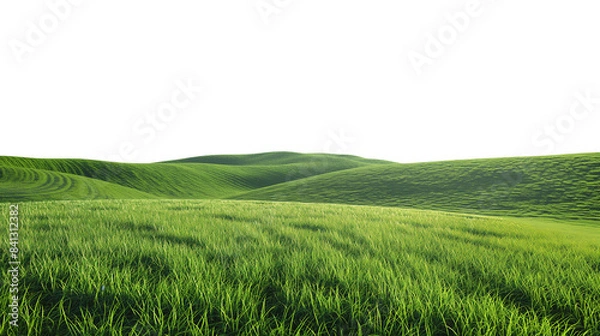 Fototapeta Green rolling hills with lush grass and gentle slopes on a clear day, isolated on a transparent background.