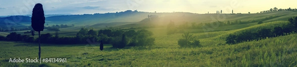 Fototapeta toskania, panorama, winnica, val d’orcia, włochy, sierpień, cyprysy, Tuscany, vineyard, Val d'Orcia, Italy, August, cypresses