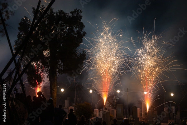 Fototapeta 墓場の花火