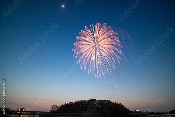Obraz 夜空と花火