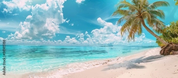 Fototapeta In a tropical island on a sunny day, a palm tree stands out against a blue sky, white clouds, and turquoise ocean with white clouds. The perfect natural landscape for summer vacations.