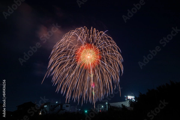 Fototapeta 豊橋の花火