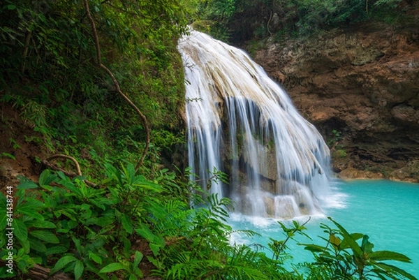 Obraz waterfall in the forest