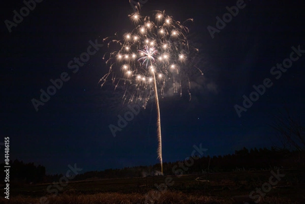 Fototapeta 春の芸術花火