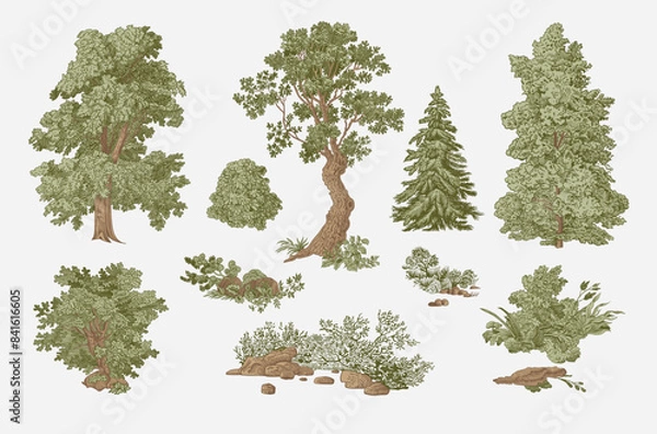 Obraz Set of trees and bushes. Landscape elements. Vector vintage illustration.