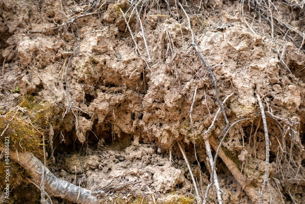 Obraz dirt wall with roots and grass texture