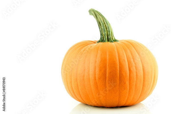 Obraz A nice orange Pumpkin on a white background.