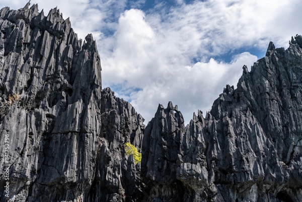 Obraz landscape with sky and clouds
