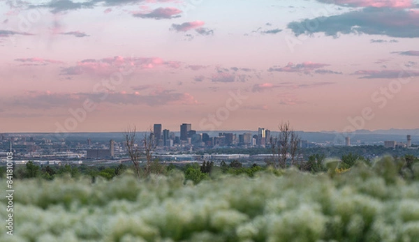 Fototapeta The Sunset  time in Denver , Colorado , USA  Downtown City glowing Nightscape Skyline of the Mile High City.