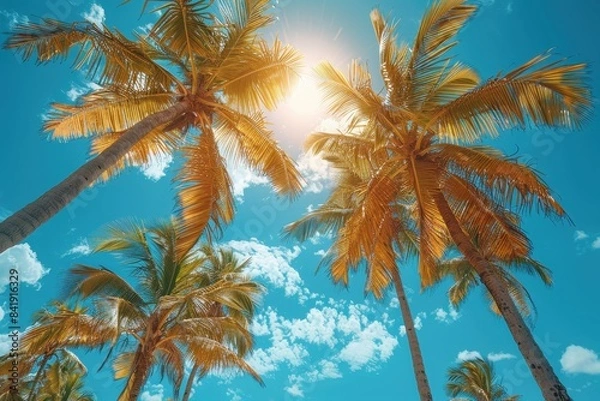 Fototapeta Towering sunlit palm trees on a tropical beach, symbolizing paradise. 
