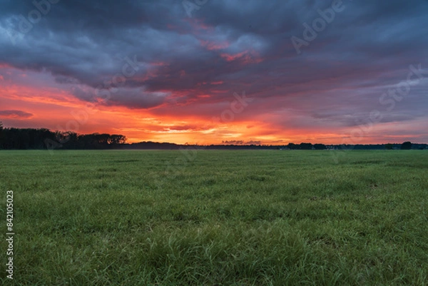 Fototapeta A breathtaking fiery sunset paints the sky in vibrant hues of orange and red with dramatic cloudscape over a vast green meadow in the Netherlands.