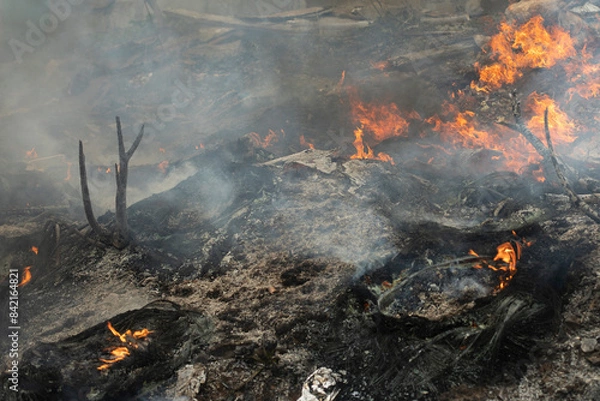 Obraz Burning of garbage. Set fire to illegal landfill. Flames and smoke.