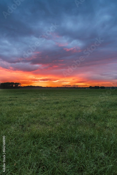 Fototapeta A breathtaking fiery sunset paints the sky in vibrant hues of orange and red with dramatic cloudscape over a vast green meadow in North Brabant the Netherlands.