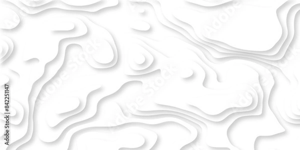 Fototapeta Luxury abstract lines Modern white carve wave line abstract luxury 3d papercut background. vector minimal topography map light element shadow landscape wave element curve graphic papercut design.