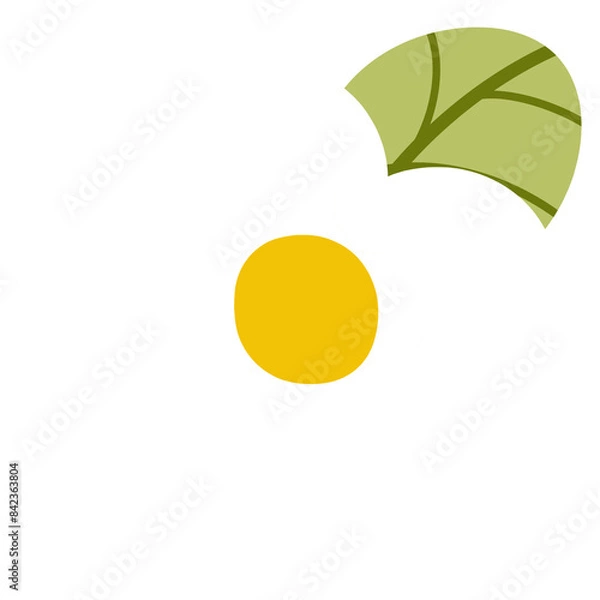 Obraz A flower is white.