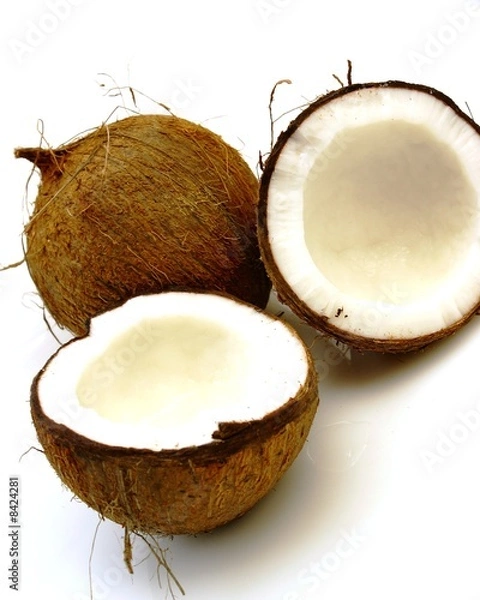 Obraz orzech kokosowy