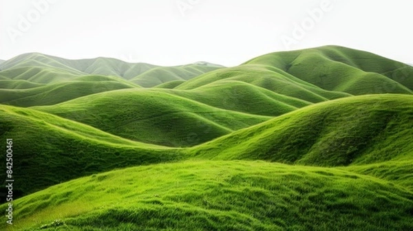 Fototapeta A picturesque landscape of rolling green hills set against a white background. The lush, grassy hills create a sense of tranquility and serenity, evoking natural beauty and peacefulness.
