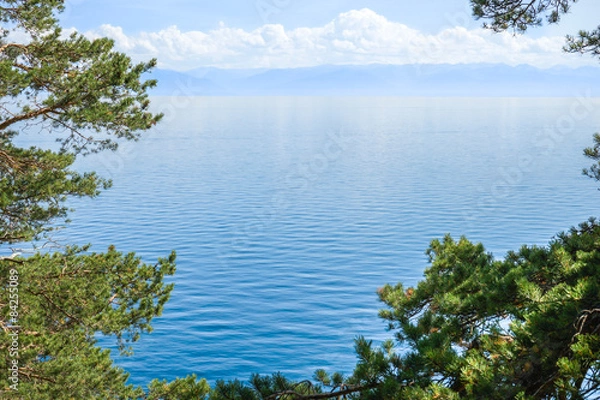 Obraz Baikal lake through the trees