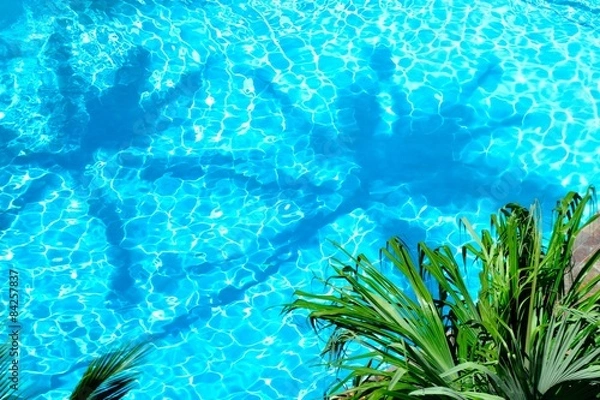 Fototapeta プールの中のヤシの木の影