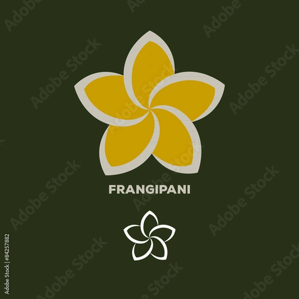 Obraz frangipani flower logo vector