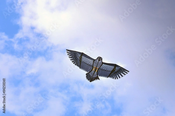 Obraz Kite in the sky