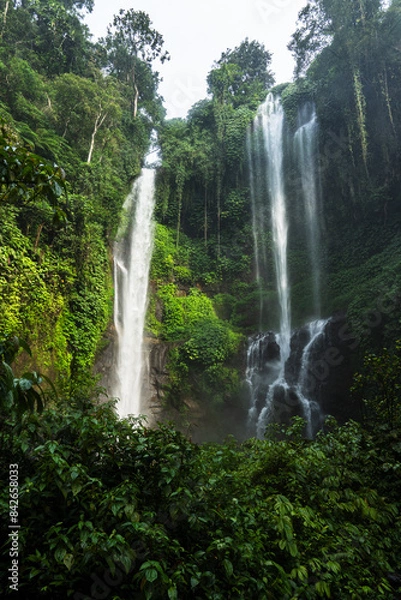 Fototapeta Twin waterfalls cascade down a lush, green cliff surrounded by dense foliage. The mist from the falls rises, creating a serene and refreshing atmosphere.