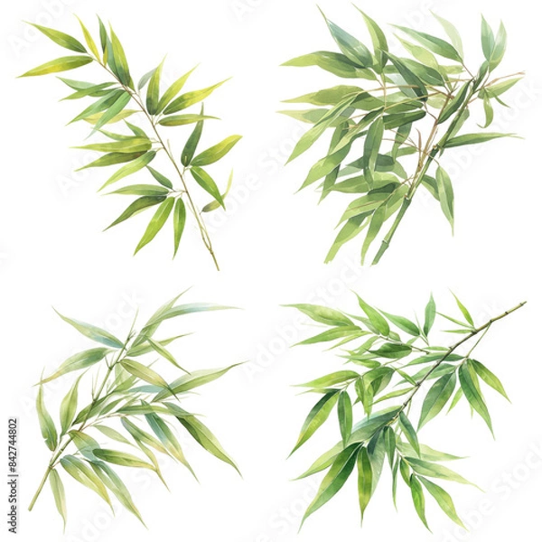 Obraz Four watercolor illustrations of green bamboo branches against a white background. The branches have delicate leaves and are depicted in a realistic style