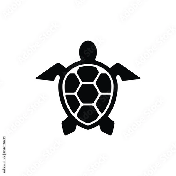 Fototapeta Turtle icon vector design trendy