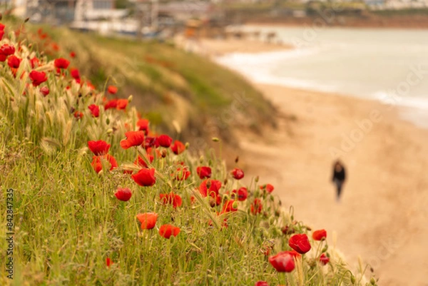 Obraz Background - a short walk on the beach