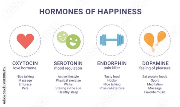 Fototapeta Scheme of happiness hormones icons of oxytocin, serotonin, dopamine, endorphin isolated on white background. Brain biochemistry