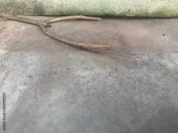 Fototapeta Wood stick, tree trunk on cement ground