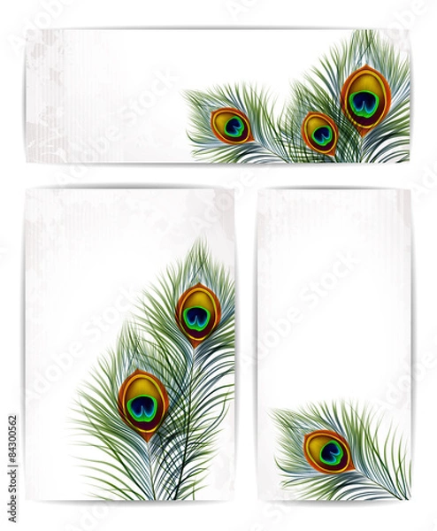 Obraz Set of vector peacock feathers with space for text. EPS 10